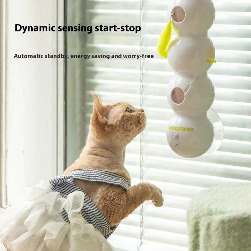 Motion Cat Toy With Worm-Sale ✨