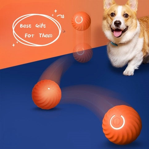 Rolling Ball Dog Toy-🎉Sale
